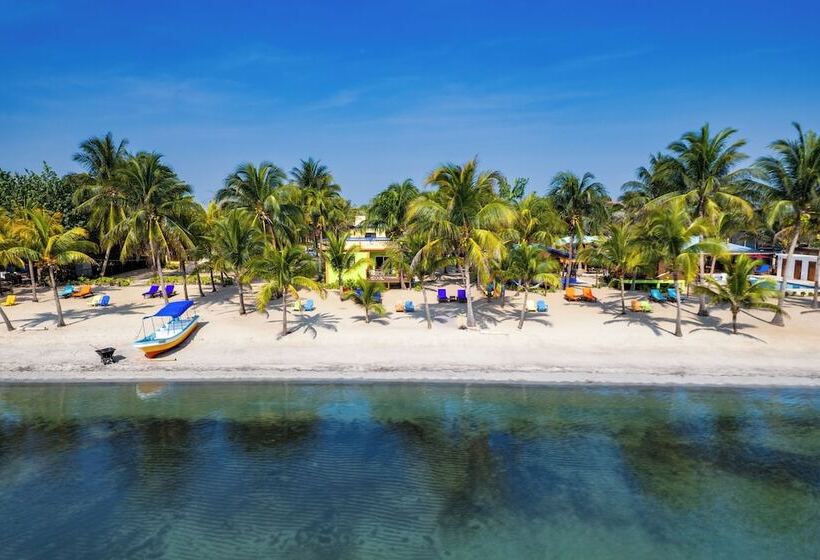 فندق Coconut Row