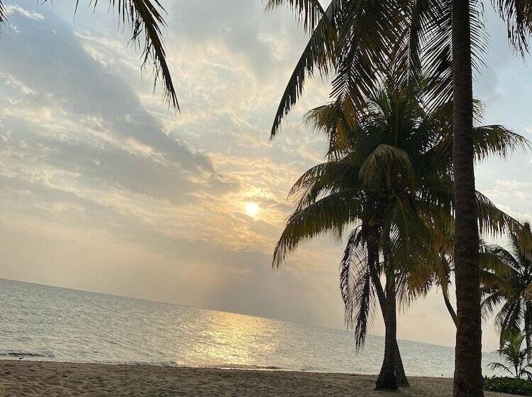 فندق Coconut Row