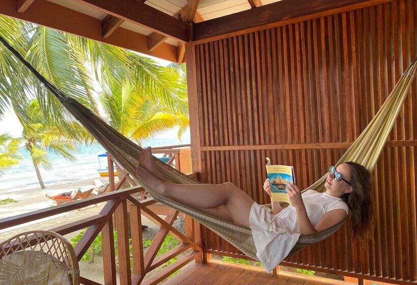 فندق Coconut Row