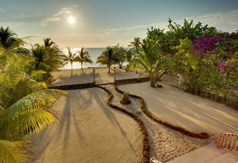 فندق Coconut Row