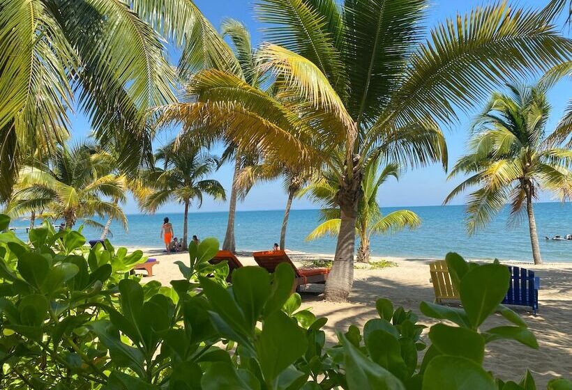 فندق Coconut Row