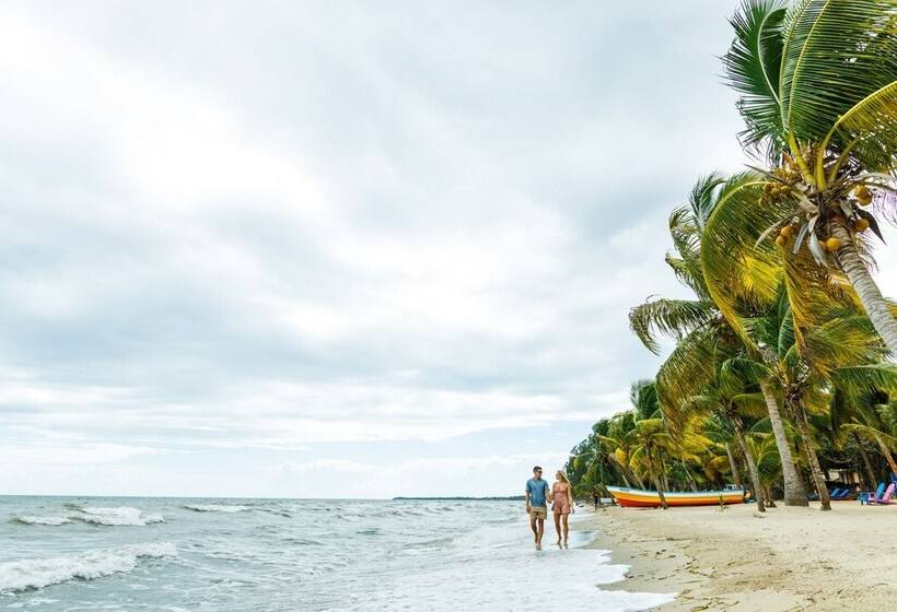 فندق Coconut Row