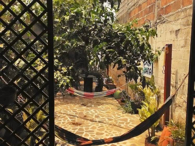 هتل Hostal Casa Ivana Hostel