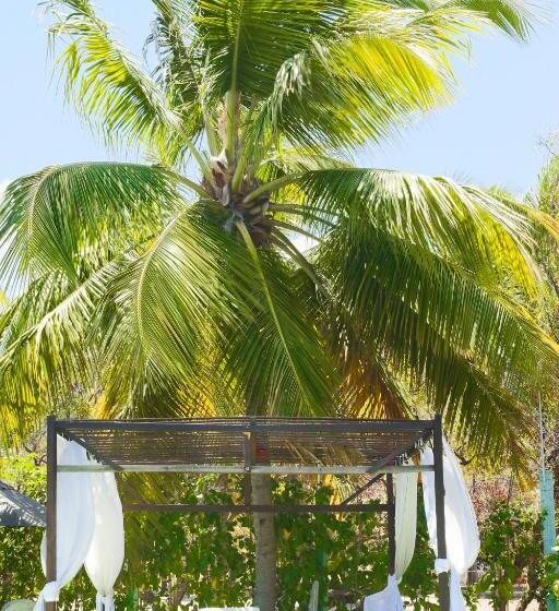 هاستل Pousada Enseada Dos Golfinhos