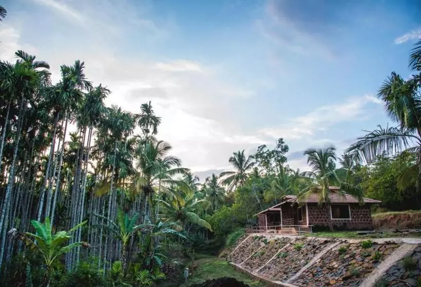 ホテル Dandeli Jungle Resort