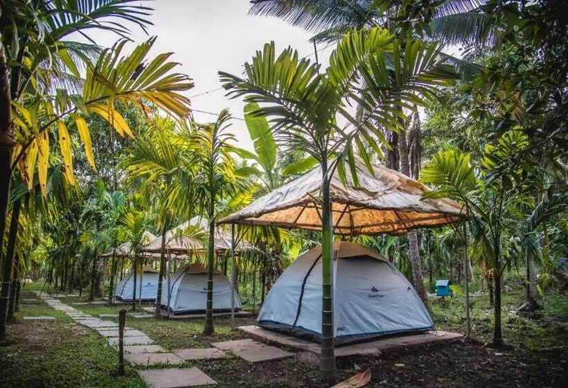 ホテル Dandeli Jungle Resort