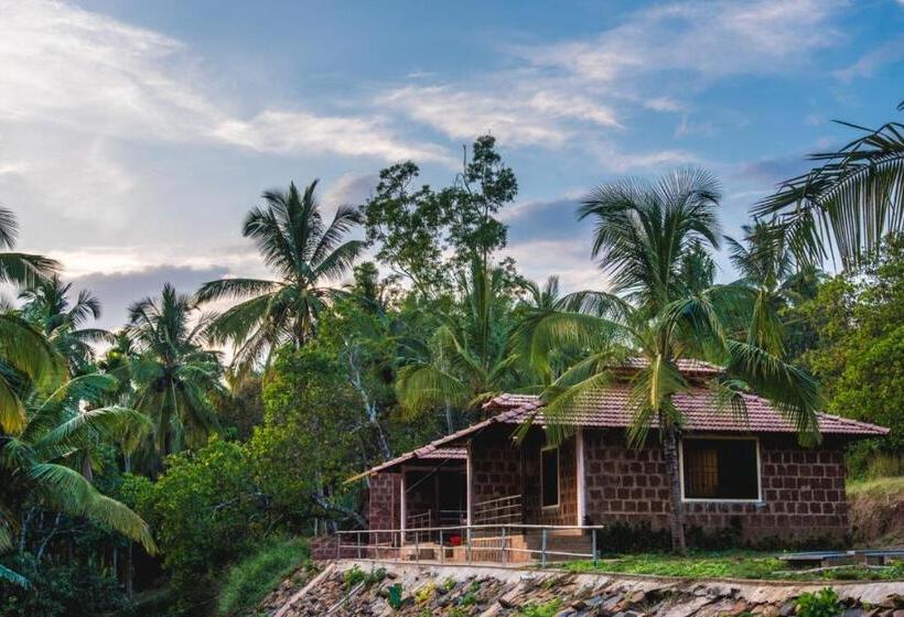 Отель Dandeli Jungle Resort