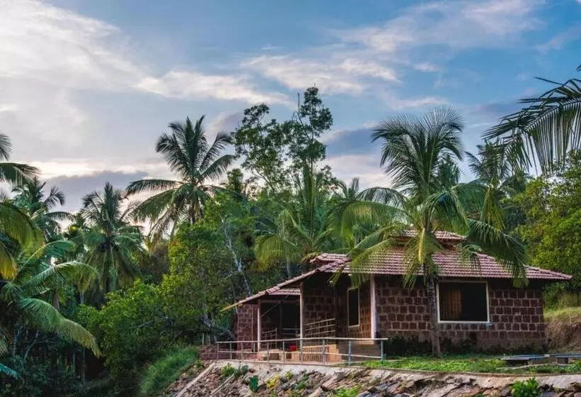 ホテル Dandeli Jungle Resort