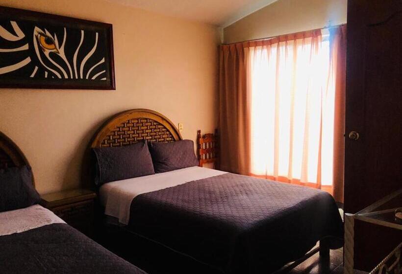 هاستل Posada Aguascalientes