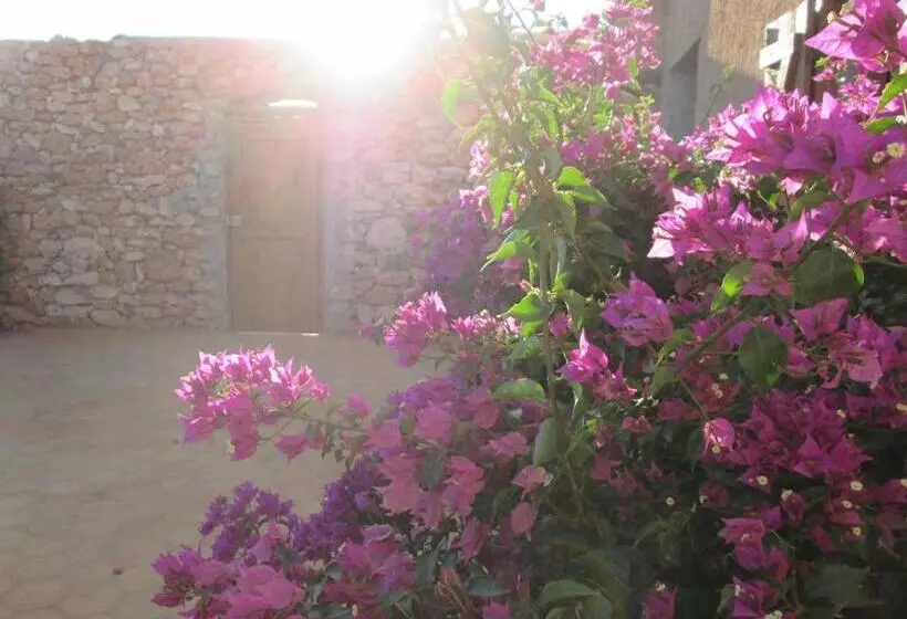 Aamiaismajoitus (B&B) Ksar Montana Hôtel, Chambres Piscine