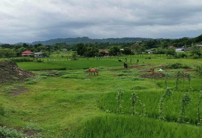 تختخواب و صبحانه Smyleinn Farm