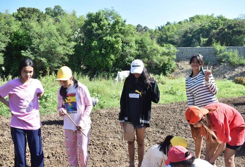 تختخواب و صبحانه Smyleinn Farm