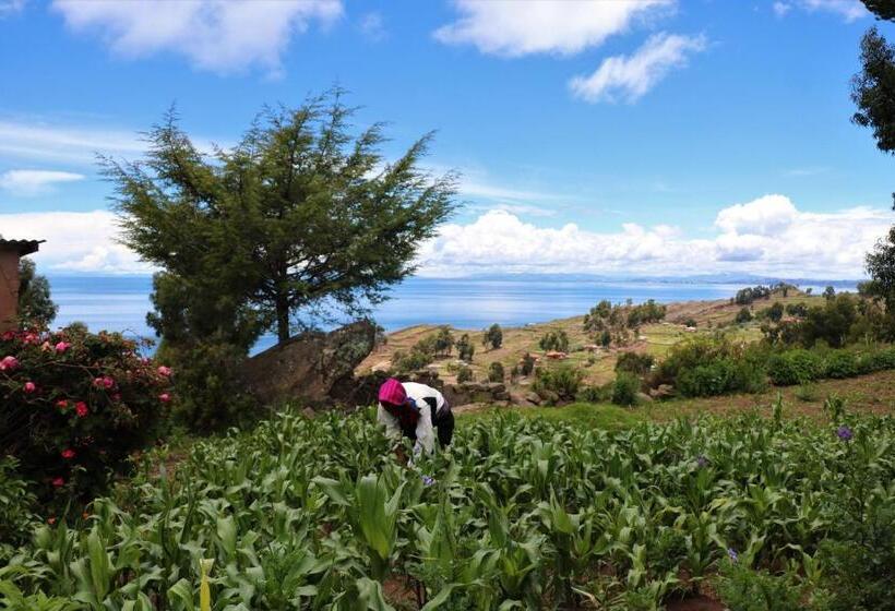 ベッドアンドブレックファースト Taquile Lodge   Un Lugar De Ensueño