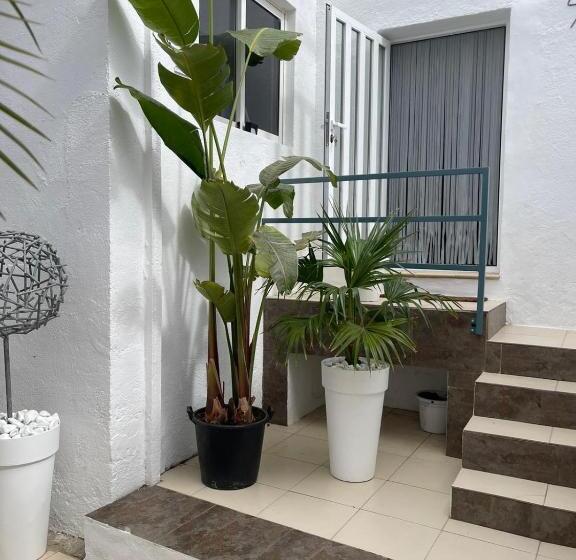 Casa Dolly Boutique B&b