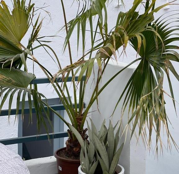 Casa Dolly Boutique B&b