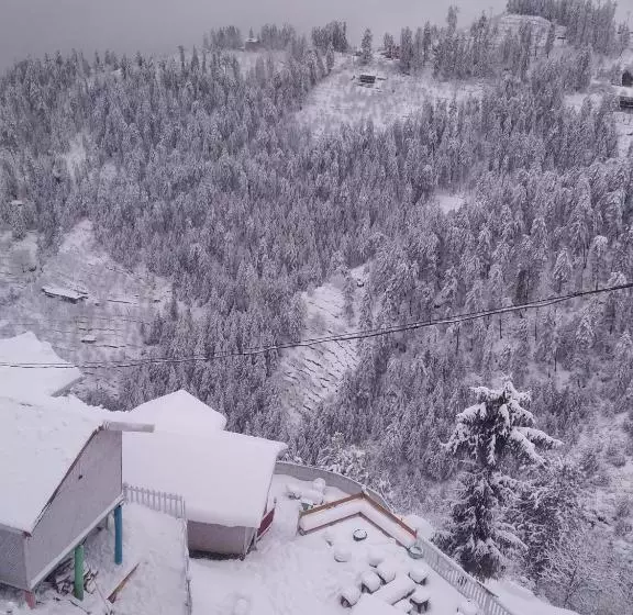 モーテル The Wonderland Cottages & Cafe