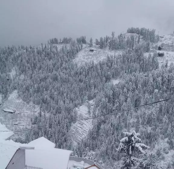 モーテル The Wonderland Cottages & Cafe