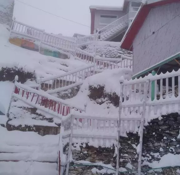 モーテル The Wonderland Cottages & Cafe