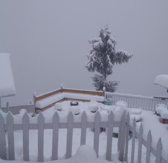 מוטל The Wonderland Cottages & Cafe