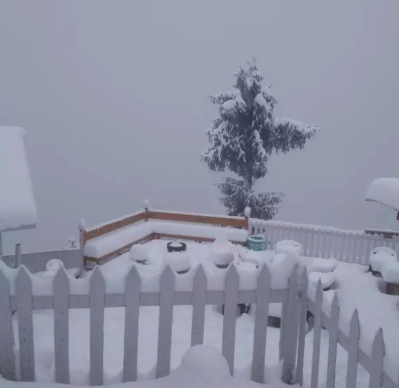 モーテル The Wonderland Cottages & Cafe