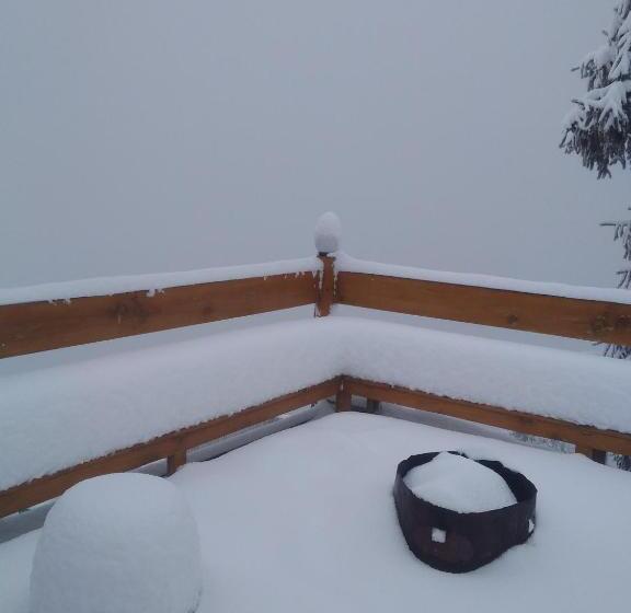 מוטל The Wonderland Cottages & Cafe