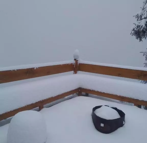 モーテル The Wonderland Cottages & Cafe