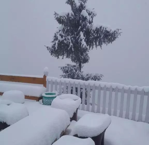 モーテル The Wonderland Cottages & Cafe