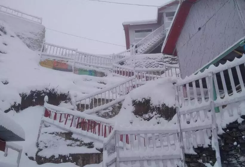 モーテル The Wonderland Cottages & Cafe