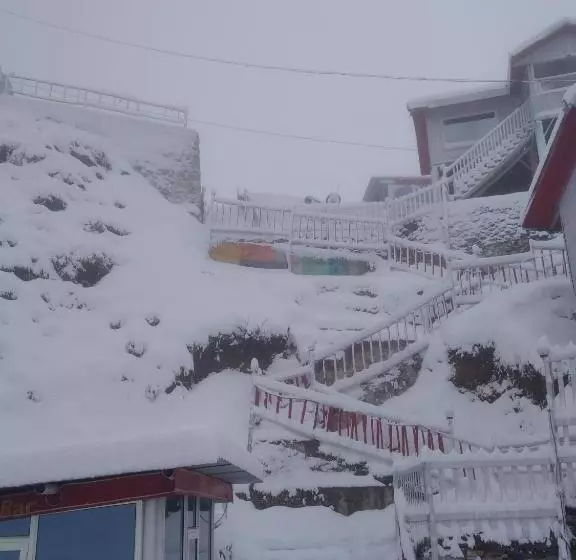 モーテル The Wonderland Cottages & Cafe