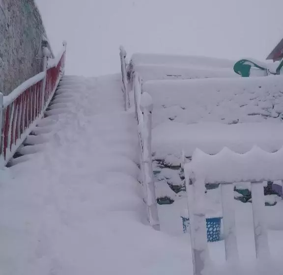 モーテル The Wonderland Cottages & Cafe