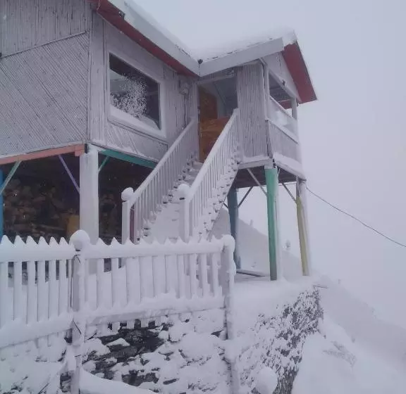 モーテル The Wonderland Cottages & Cafe