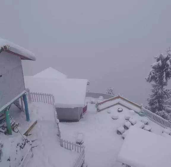 モーテル The Wonderland Cottages & Cafe