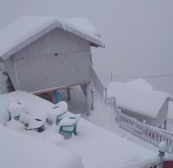 מוטל The Wonderland Cottages & Cafe