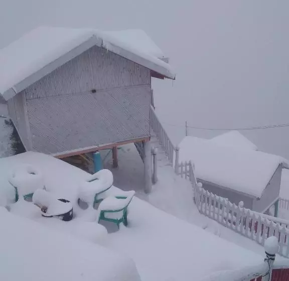 モーテル The Wonderland Cottages & Cafe