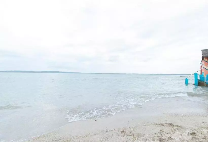 Rgv Beach Resort Batangas Redpartner