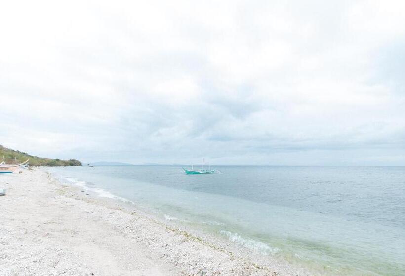 Rgv Beach Resort Batangas Redpartner