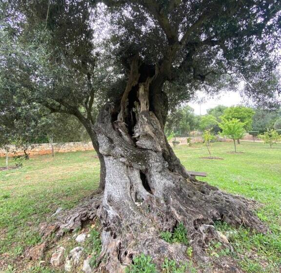 تختخواب و صبحانه Adamah Vayu Casa Serenida