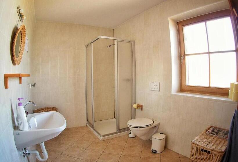 住宿加早餐 Almgasthaus Flecknerhütte