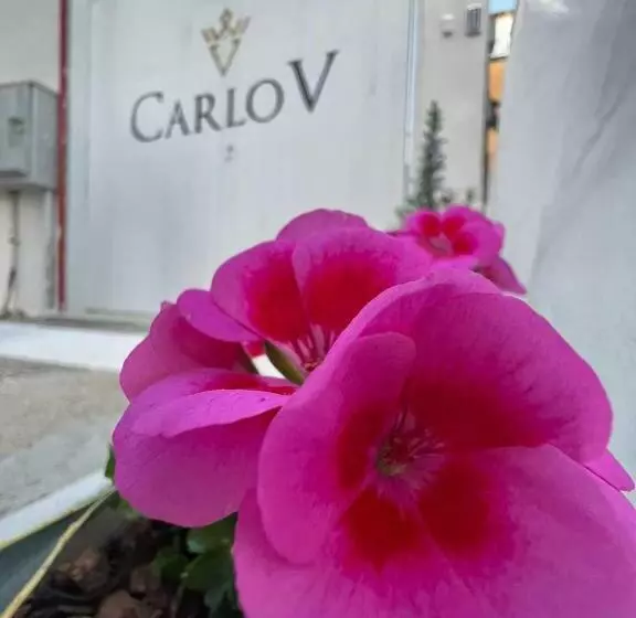 تختخواب و صبحانه Carlo V   Holiday Rooms