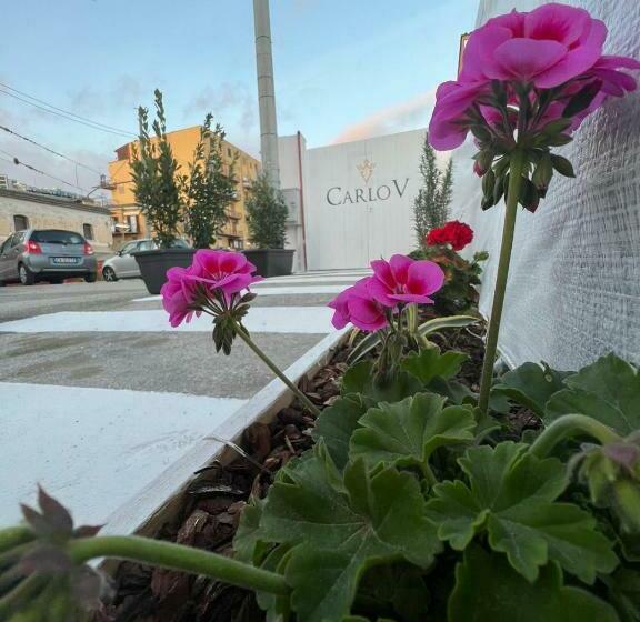 צימר Carlo V   Holiday Rooms