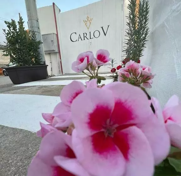 تختخواب و صبحانه Carlo V   Holiday Rooms