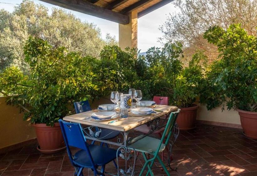 צימר Tenute Efis