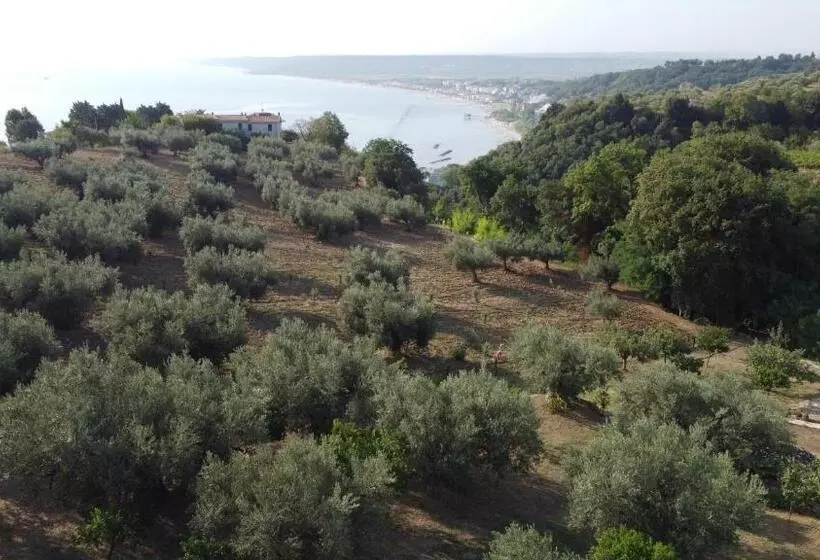 Aamiaismajoitus (B&B) Villa Caravaggio Comfort E Relax