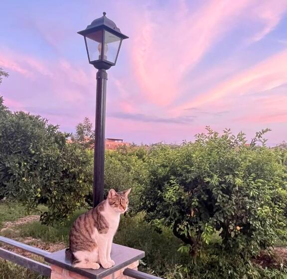 La Pomelia B&b Sofia