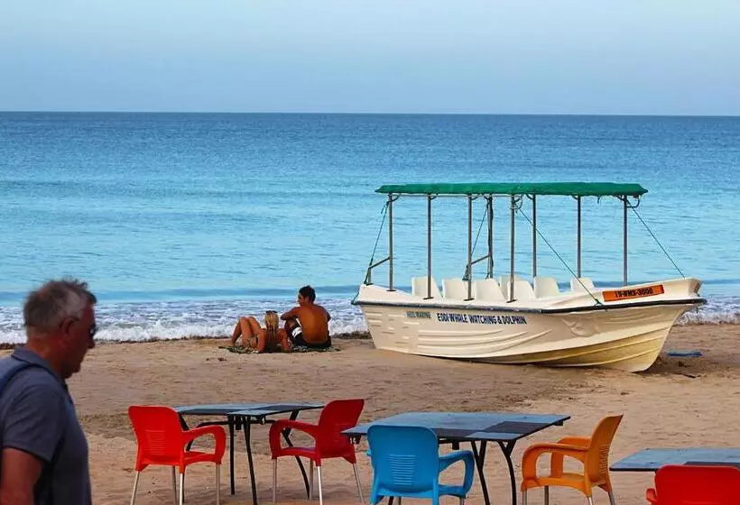 ペンション Alffa Guest Inn