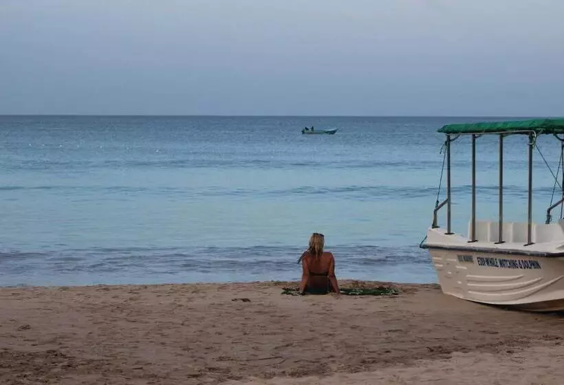 ペンション Alffa Guest Inn