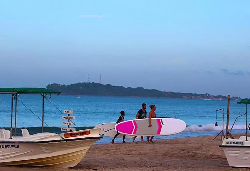 ペンション Alffa Guest Inn