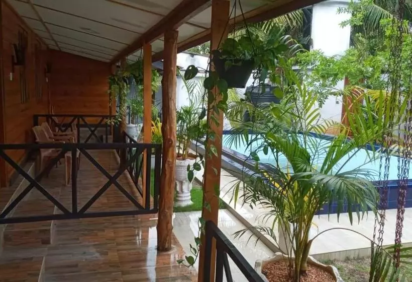 ペンション Alffa Guest Inn