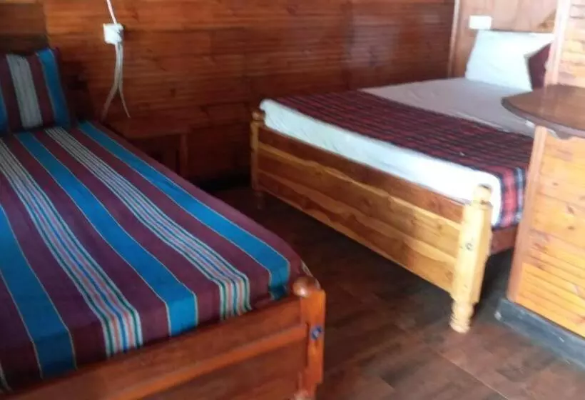 ペンション Alffa Guest Inn