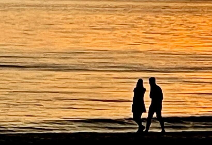 پانسیون Comfortable Room